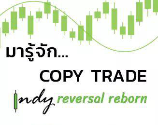 Copy trade Indy reversal reborn